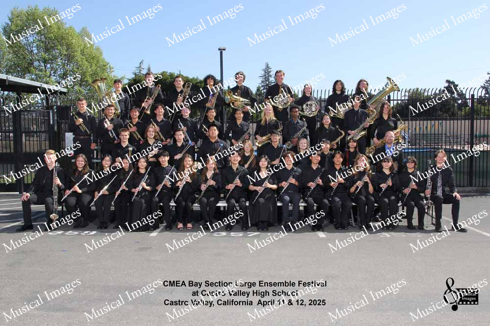 Musical Images